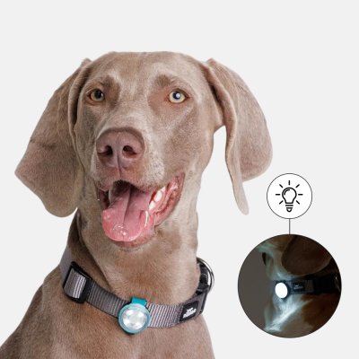 Rungo Накладка на ошейник светящаяся c USB-зарядкой для собак, 3х8 см, зеленая