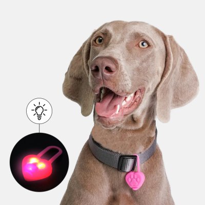 Rungo Маячок-сердечко светящийся на ошейник, 3х3х0,9 см, цвет в ассортименте