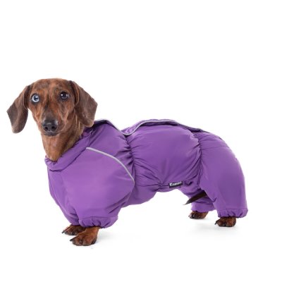Комбинезон для собак GAMMA зимний Такса M, фиолетовый, дл.изделия по спине 41см
