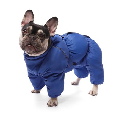 Комбинезон для собак GAMMA зимний Французский бульдог S, синий, дл.изделия по спине 35см