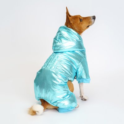 RURRI Комбинезон для собак, M, голубой