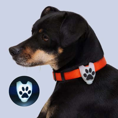 HiPet Маячок светящийся силиконовый на ошейник Лапка, длина 7,7 см, диаметр 2,7 см, ширина 2 см, белый