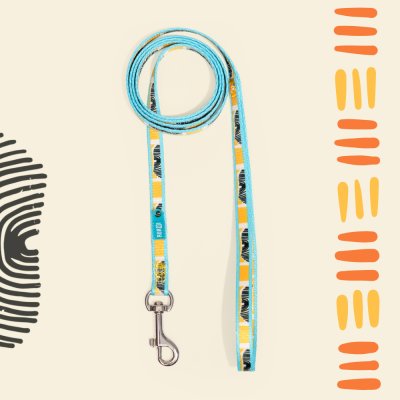 RURRI Поводок нейлоновый для собак Саванна, длина 120 см, ширина 1 см, оранжевый