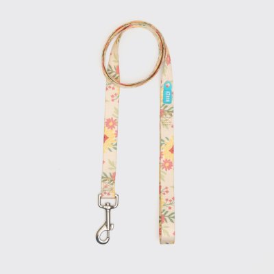 RURRI Поводок нейлоновый для кошек и собак Лето, 120 см, ширина ремешка 2 см