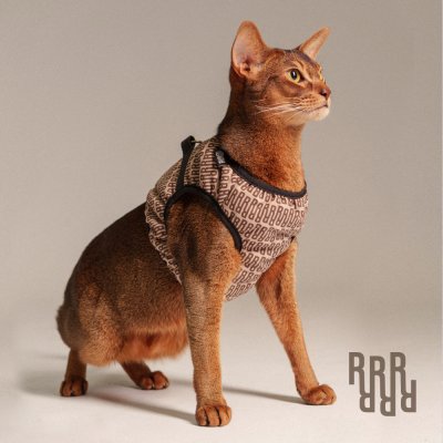 RURRI Шлейка-Жилетка Империал для кошек и собак мелких пород, обхват груди 32-35 см, обхват шеи 22-24 см, коричневый