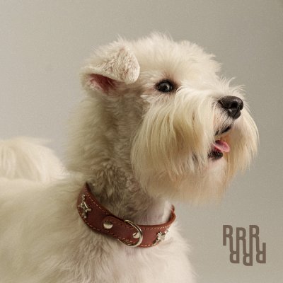 RURRI Ошейник кожаный Империал для собак, обхват шеи 25-31 см, ширина 15-30 мм, коричневый