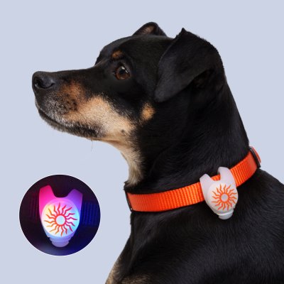 HiPet Маячок светящийся силиконовый на ошейник Солнце, длина 7,7 см, диаметр 2,7 см, ширина 2 см, белый