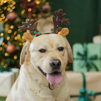 Petmax Ободок Рога оленьи с ушками для собак, 24х24 см, коричневый