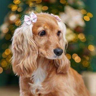 Petmax Бантики-заколки для собак, 4х3 см, розовый, 2 шт.