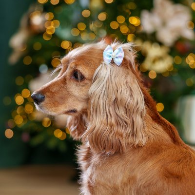 Petmax Бантики-заколки для собак, 4х3 см, голубой, 2 шт.