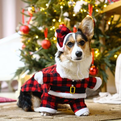 Petmax Костюм новогодний с колпаком Дед Мороз для собак, L, красный