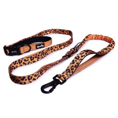 LIONPETS Поводок-перестёжка нейлоновый для собак, XL, длина 250-395 см, цвет в ассортименте