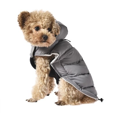 Попона для собак с козырьком Foxie Frost and sun серая р. S (длина спины 30см, обхват груди 47-53см)