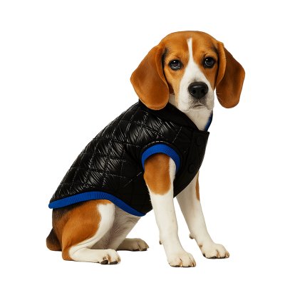 Жилет для собак Foxie Gloss черный р. L (длина спины 40см, обхват груди 57-63см)