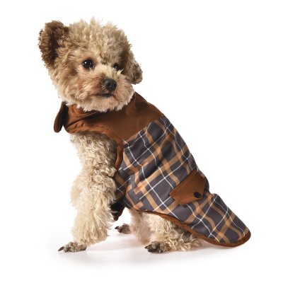 Попона для собак Foxie Old school разноцветная р. S (длина спины 30см, обхват груди 47-53см)