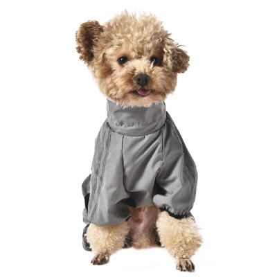 Комбинезон для собак Foxie Sport team серый р. L (длина спины 40см, обхват груди 57-63см)