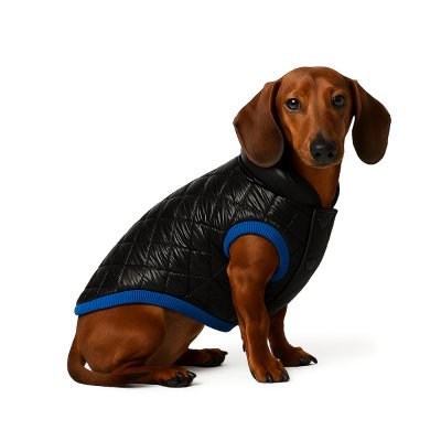 Жилет для собак Foxie Gloss черный р. XL (длина спины 45см, обхват груди 62-68см)