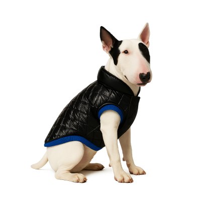 Жилет для собак Foxie Gloss черный р. XXL (длина спины 50см, обхват груди 69-75см)