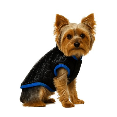 Жилет для собак Foxie Gloss черный р. S (длина спины 30см, обхват груди 47-53см)