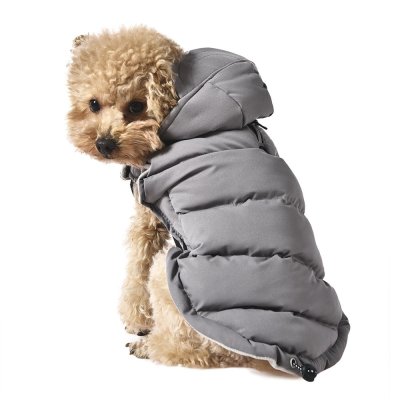 Попона для собак с козырьком Foxie Frost and sun серая р. XL (длина спины 45см, обхват груди 62-68см)