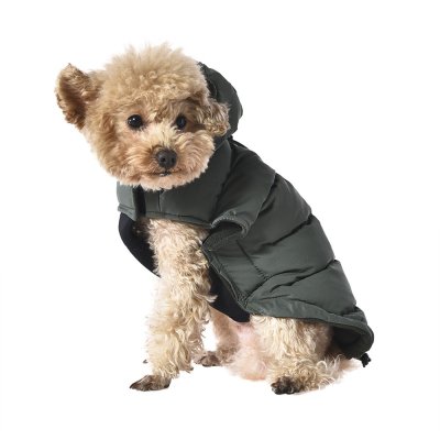 Попона для собак с козырьком Foxie Frost and sun зеленая р. S (длина спины 30см, обхват груди 47-53см)