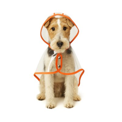 Дождевик для собак Foxie Rain прозрачный оранжевый р. L (длина спины 40см)