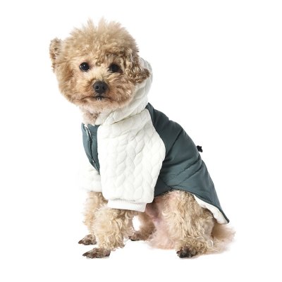 Куртка для собак Foxie Matcha tea разноцветная р. L (длина спины 40см, обхват груди 62-68см)