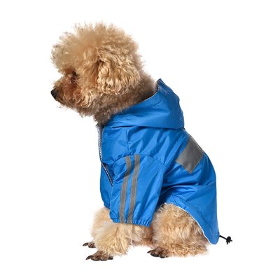 Дождевик для собак Foxie Rain синий р. S (длина спины 30см)