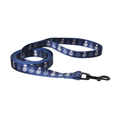 Поводок для собак Foxie Pineapple 1,9x200см синий
