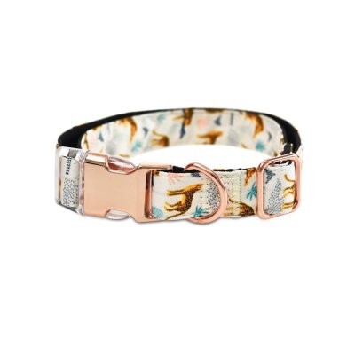 Ошейник для собак Foxie Cheetah M 1,9x35-50см