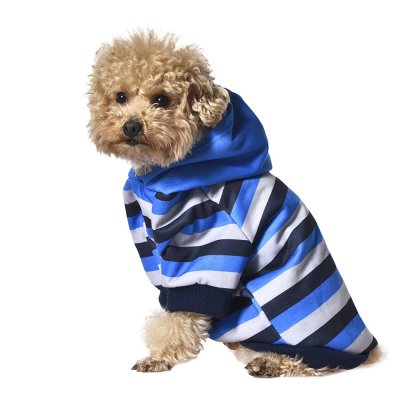 Толстовка для собак Foxie Summer evening голубая р. S (длина спины 30см, обхват груди 47-53см)