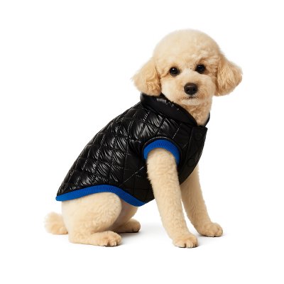 Жилет для собак Foxie Gloss черный р. M (длина спины 35см, обхват груди 52-58см)