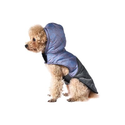 Попона для собак Foxie Bright sparks разноцветная р. L (длина спины 40см, обхват груди 57-63см)