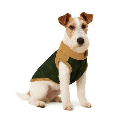 Жилет для собак Foxie Delicate velvet желтый р. L (длина спины 40см, обхват груди 57-63см)