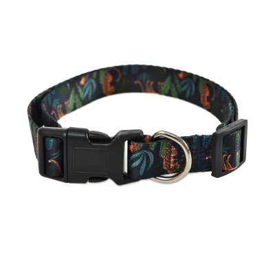 Ошейник для собак Foxie Flora L 2,5x40-55см