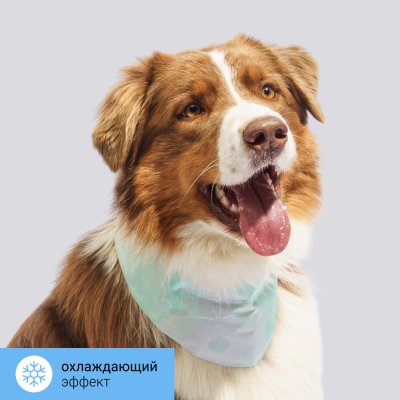 RURRI Ошейник охлаждающий для кошек и собак, 60x24,5 см, зеленый