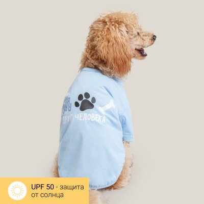 RURRI Футболка для собак Друг человека, M, голубая