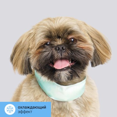 RURRI Ошейник охлаждающий для собак, M, зеленый