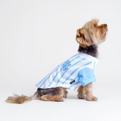 RURRI Футболка для кошек и собак, M, бело-голубая