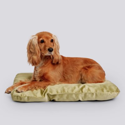 RURRI Матрас овальный для кошек и собак мелких и средних пород, 65х42х6 см