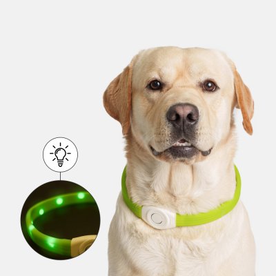 Rungo Ошейник светящийся широкий силиконовый USB для длинношерстных собак, 65 см, салатовый