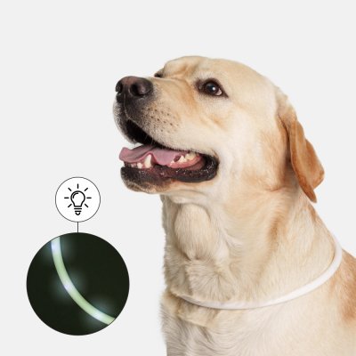 Rungo Ошейник светящийся круглый силиконовый USB для собак, 70 см, белый