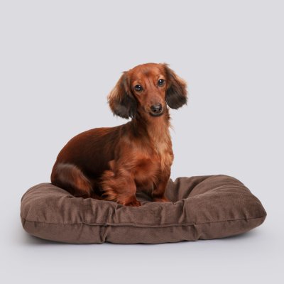 RURRI Матрас овальный для кошек и собак мелких пород, 55х36х6 см