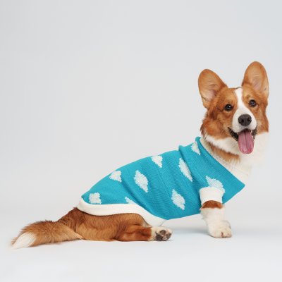 Petmax Свитер с облачками для собак, 4XL, голубой