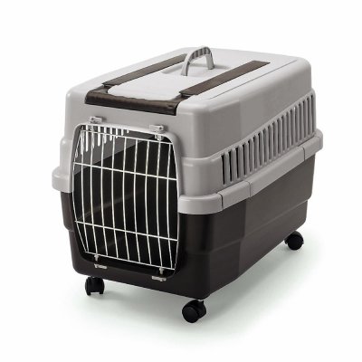 Imac Переноска на колесах для кошек и собак мелких пород Kim 60, 60х40х45 см, цвета в ассортименте