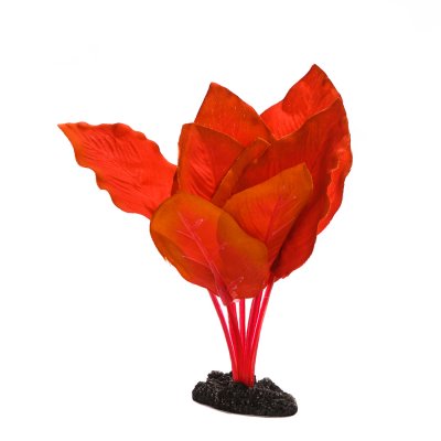 Aquafantasy Декор для аквариумов Анубиас Бартера, 13 см