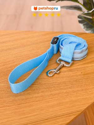 Кошки PETSHOP Светящийся поводок для кошек и собак "Неон", голубой, 120*2,5 см (120*2,5 см)