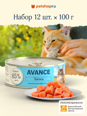 Холистики AVANCE holistic консервы Набор: для кошек и котят с лососем, Natural&Healthy Salmon, 12 шт по 100 г (12 х 100 г)