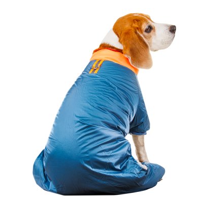 Petmax Комбинезон для собак, 4XL, голубой (унисекс)