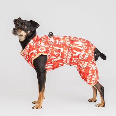 Petmax Комбинезон на замке для собак, 2XL, оранжево-белый (унисекс)